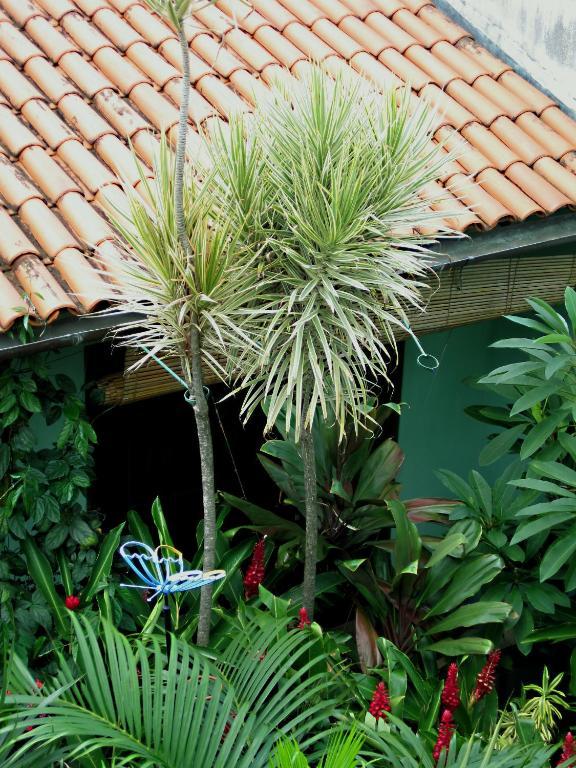 Pousada Redfish Salvador Exterior photo